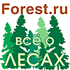 Сайт размещён на Forest.RU